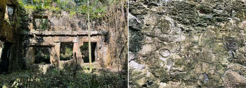 ORIGINS OF THE PLANTATION SYSTEM REVEALED
