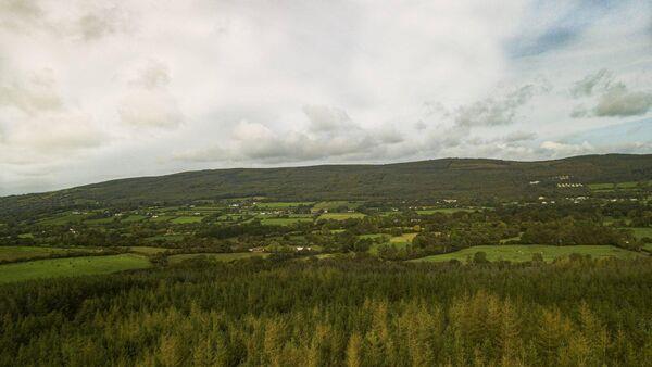 Up to €250,000 available for nurseries in forest technology scheme