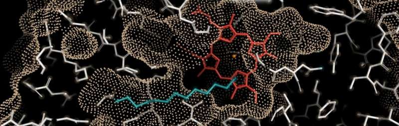 Novel enzyme could boost sustainable production of aviation fuel