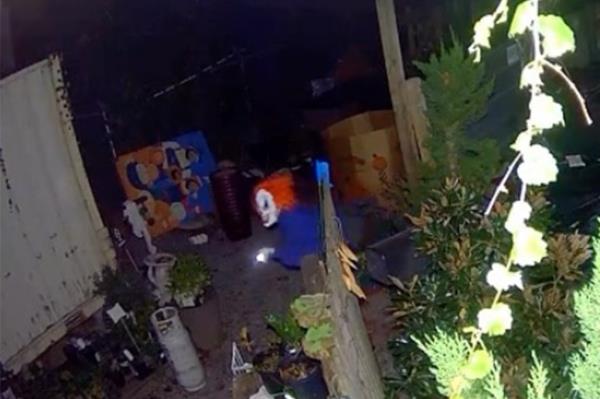 A clown attempting to steal from a Donelson business, captured on camera