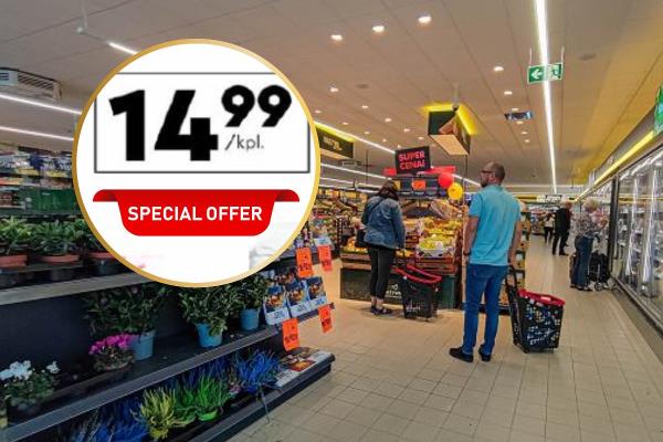 6 pieces for 15 PLN in Biedronka! Now each of us needs them. Great offers in Selgros and LM