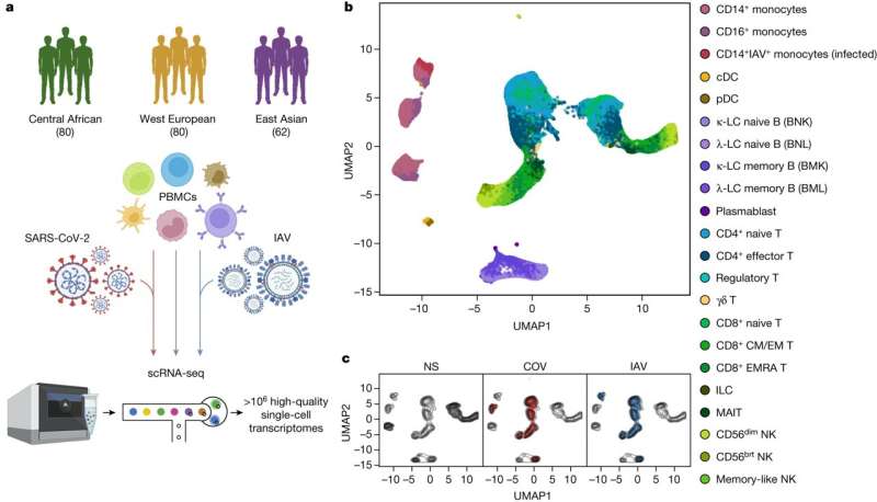 SARS-CoV-2: How the history of human populations influences their immune response