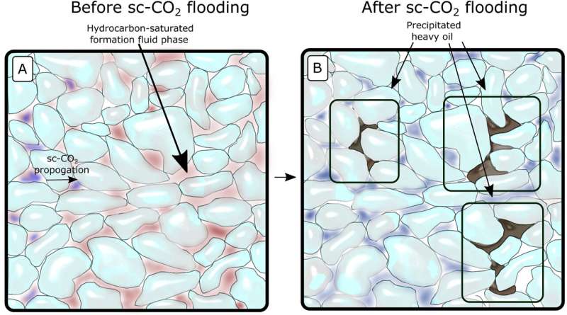 Carbon capture and storage projects in Denmark at risk from bitumen formation