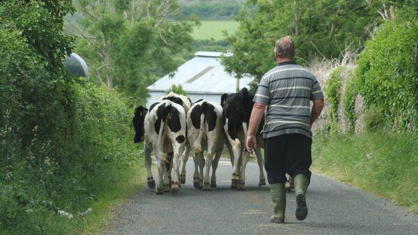 Farmers can now apply for licence to bury dead animals on their land 