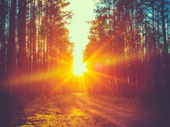 Aaj Ka Panchang, October 15, 2024: Sunrise is anticipated at 6:22 AM, with sunset at 5:51 PM. (Image: Shutterstock)
