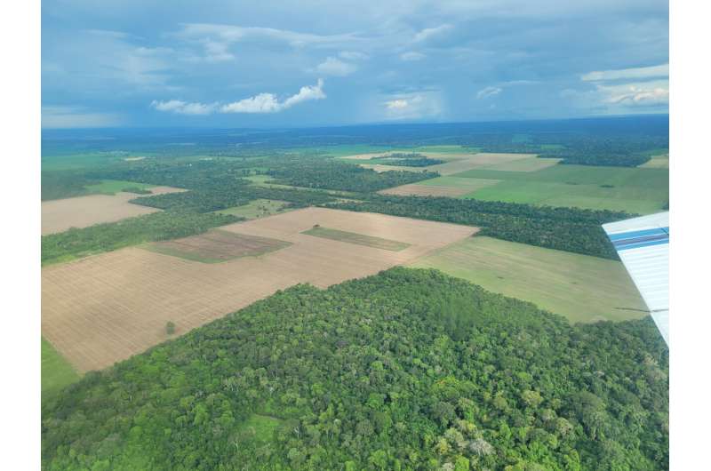 Amazon emissions soared under Brazil's Bolsonaro: study
