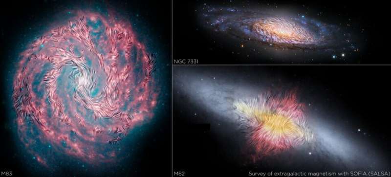Revealing the invisible: detecting variations in extragalactic magnetic fields