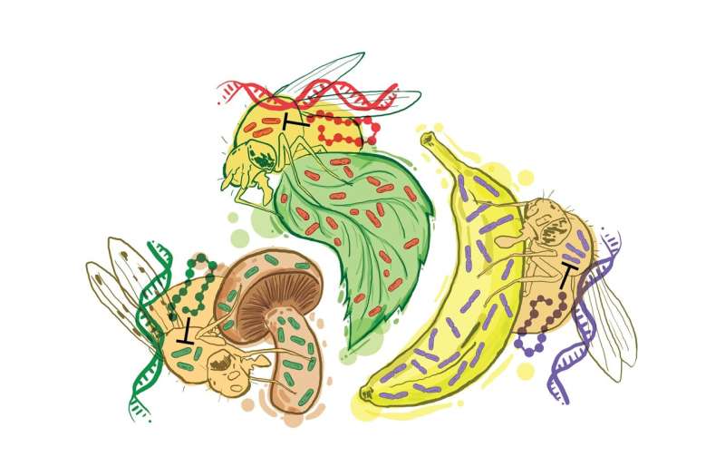 Immune systems develop 'silver bullet' defences against common bacteria