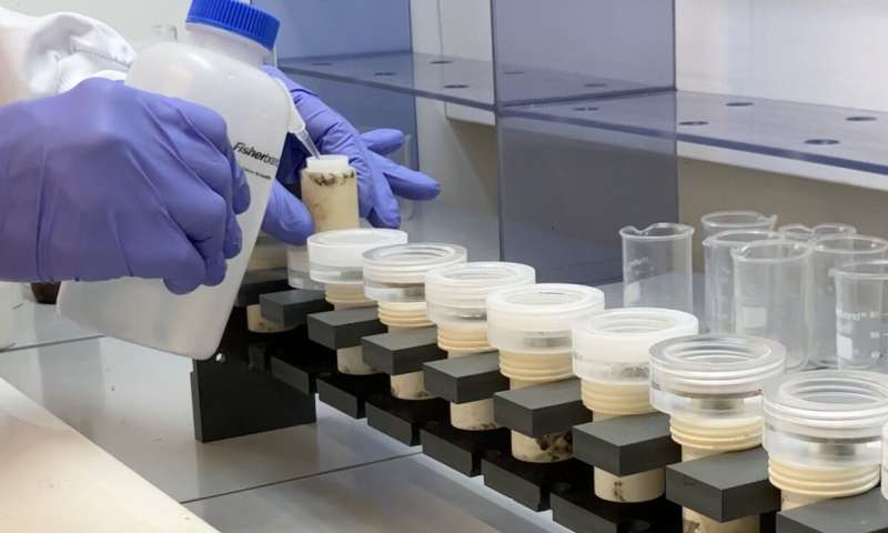 克劳福德湖被选为识别人类世开端的主要标志