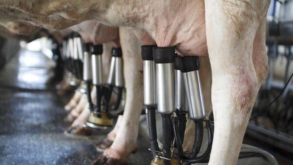 Stephen Cadogan: Can farmers count on the 47 cent per litre milk price forecast for 2024