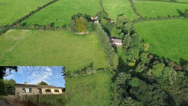 83-acre Carlow farm achieves 'strong result' at auction
