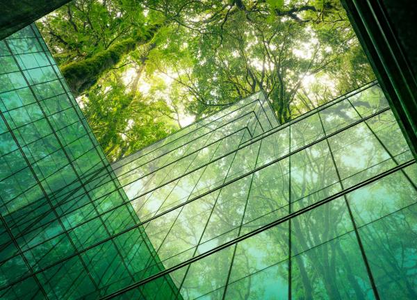 A forest towering above a glass facade.