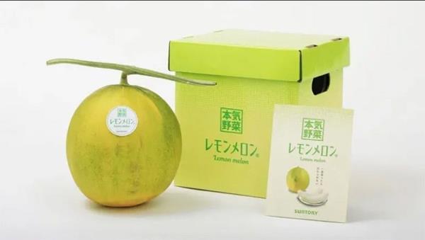 Japan’s lemon melon brings a citrus twist to the juicy summer fruit