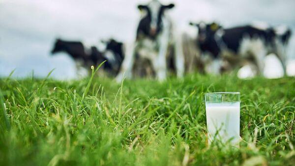 €19bn in agri-food exports shows 'resilience' of sector in a challenging year