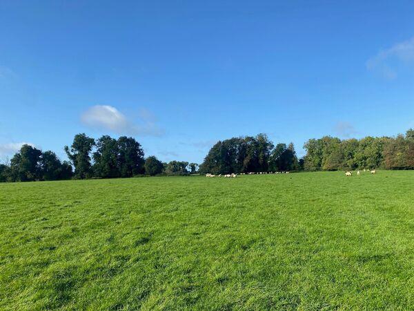 The lands are all in one block, laid out in eight divisions and divided by excellent mature trees and hedging. The quality soil is 'Elton Series' classified — some of the best lands in the region.