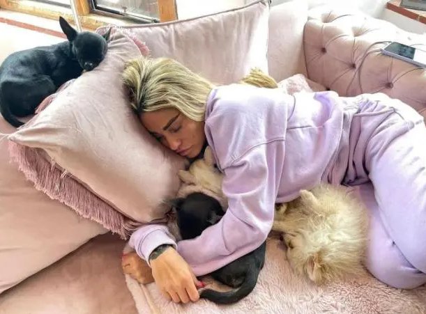 Katie Price asleep on a sofa with some dogs