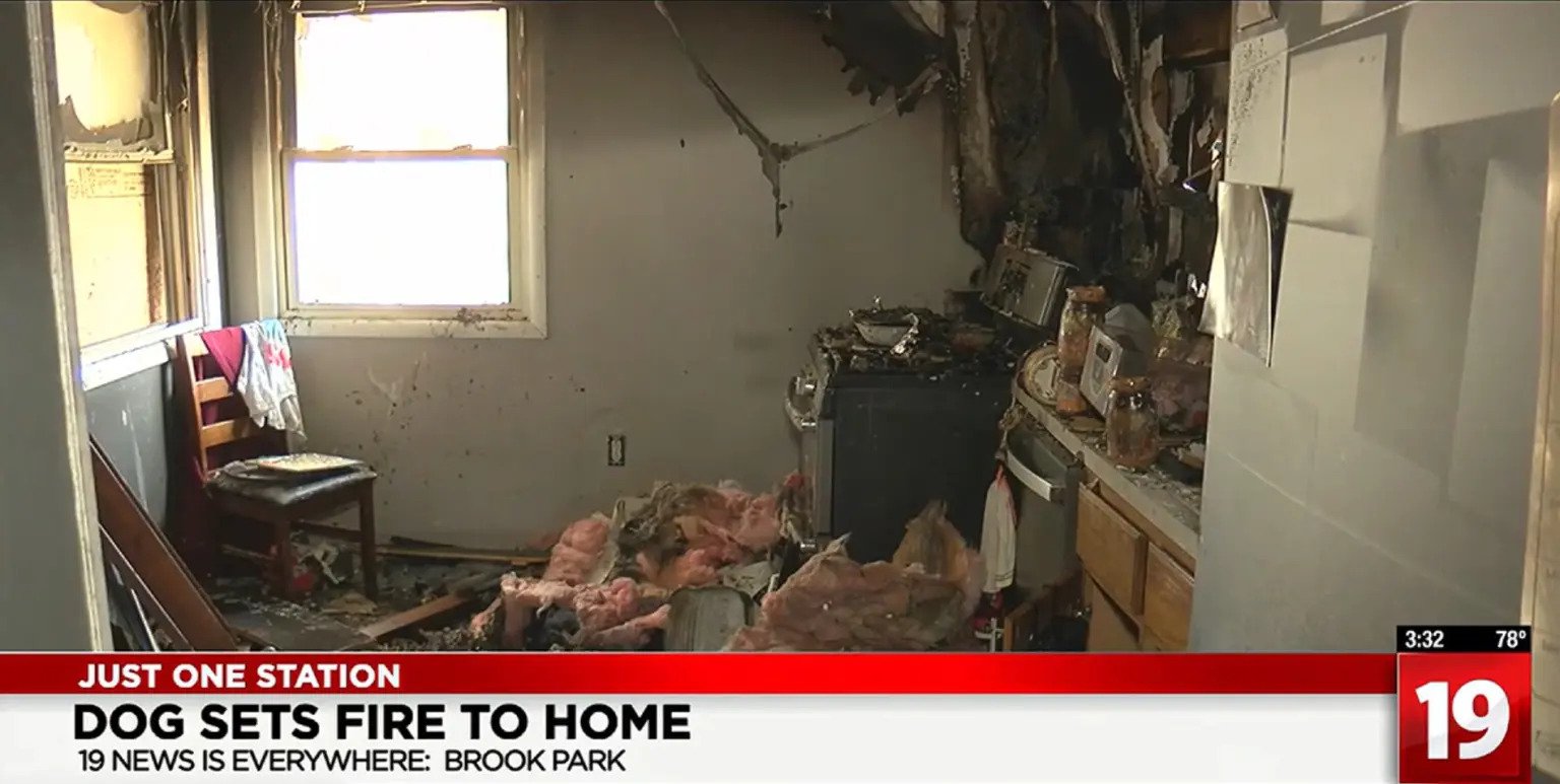 A kitchen is seen scorched and with items strewn across the floor after a fire