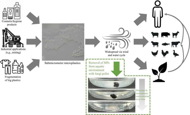 A novel approach for removing microplastics from water