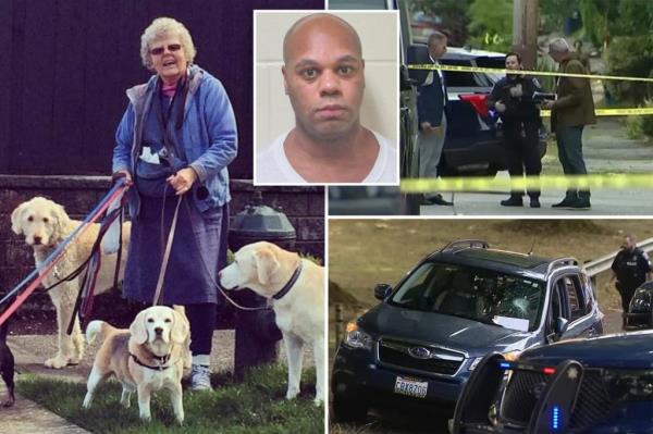 Dalton's stolen Subaru was recovered near the Brighton Playfield in Seattle on Aug. 20, 2024.