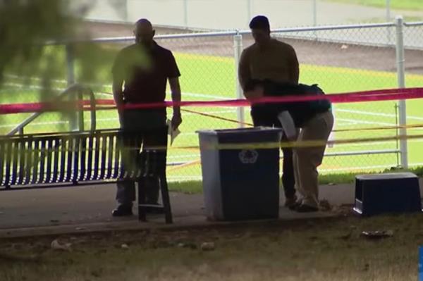 At around 3 p.m. Tuesday, police received a report of a man "hurting a dog" at the Brighton Playfield in the Hillman City neighborhood, approximately 5.5 miles from where the carjacking occurred.