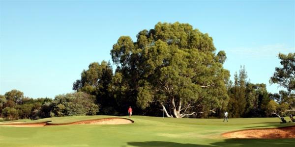 murray downs golf.jpg