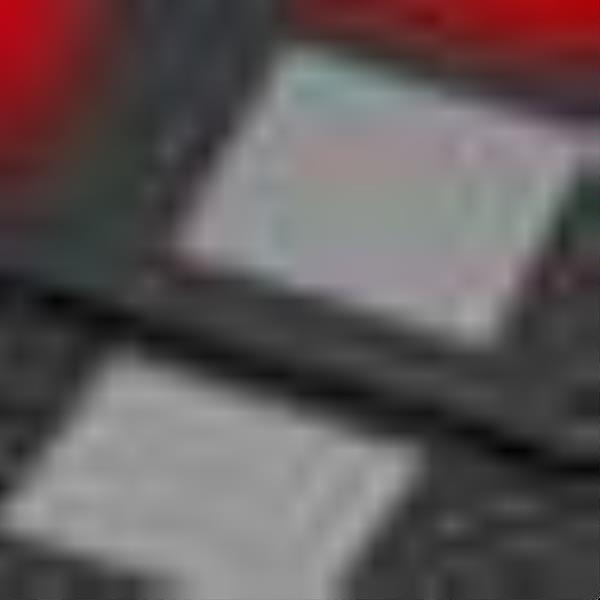 Nintendo DS
