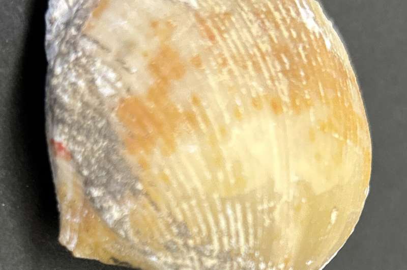 DNA decodes the dining preferences of the shell-shucking whitespotted eagle ray