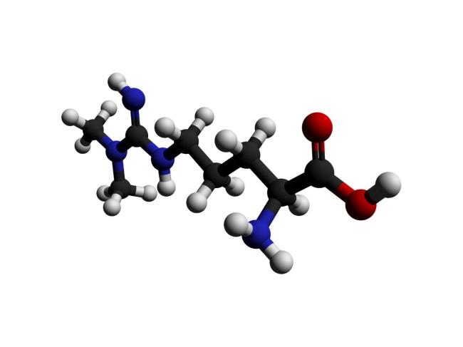 20-facts-about-asymmetric-dimethylarginine