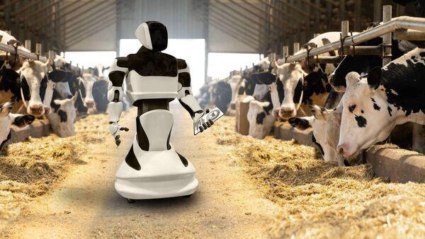 Long live the AI man - as 'AI' becomes word of the year