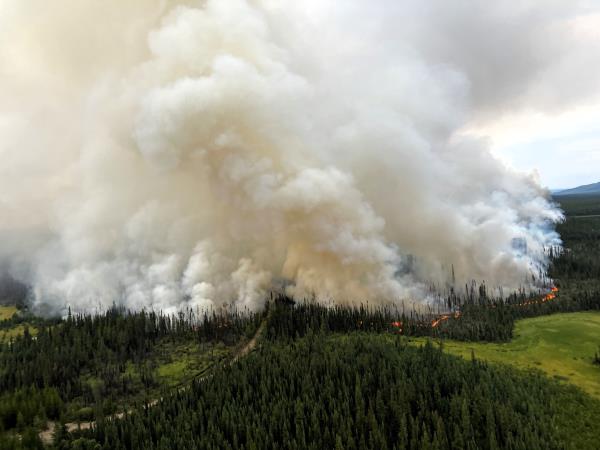 Canada Fires