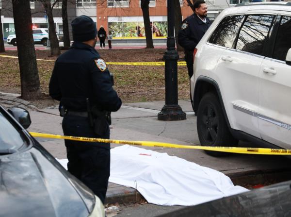 星期六警察开枪打死了一只狗