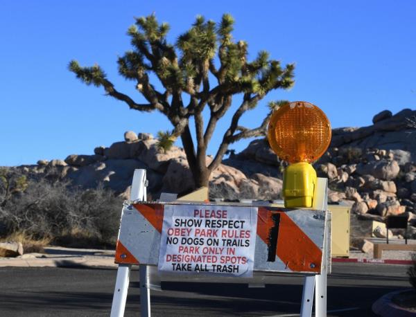 Joshua Tree National Park
