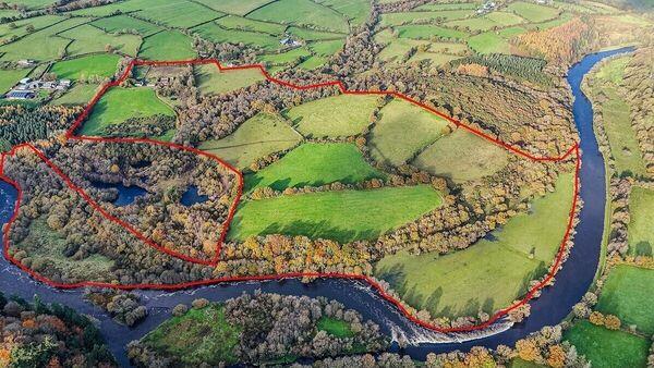 Up to €1m expected for 85-acre Carlow land