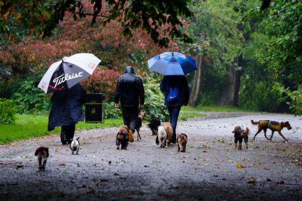 Rain again then... (stock)
