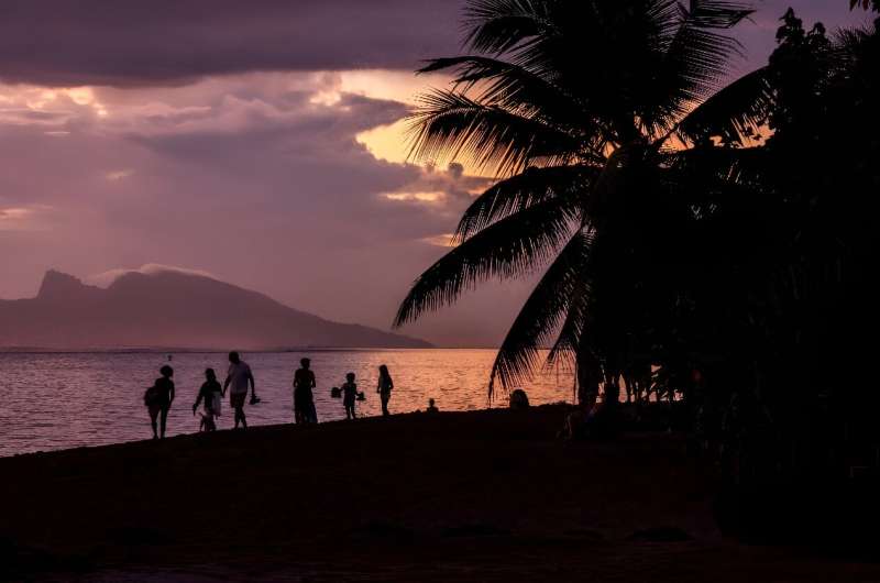 Whale-watching is an important source of income for French Polynesia