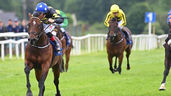 Double delight for Keane at Tipperary as Evening Saigon stakes Royal Ascot claim 
