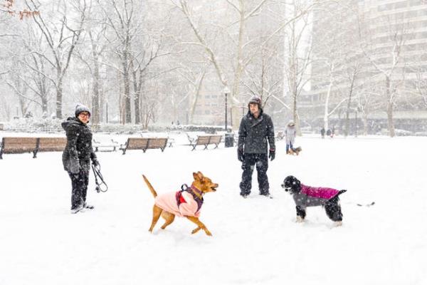 Winter Weather Philadelphia