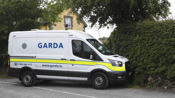 Woman, 23, dies following dog attack in Limerick 