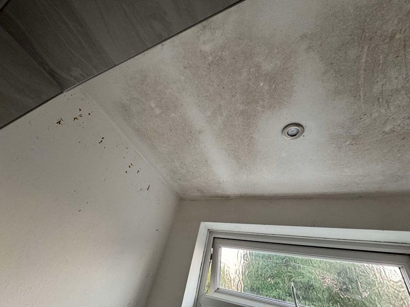 'Mortified' Stephen Mulhern apologises to furious tenants living in 'squalor' at his rental home