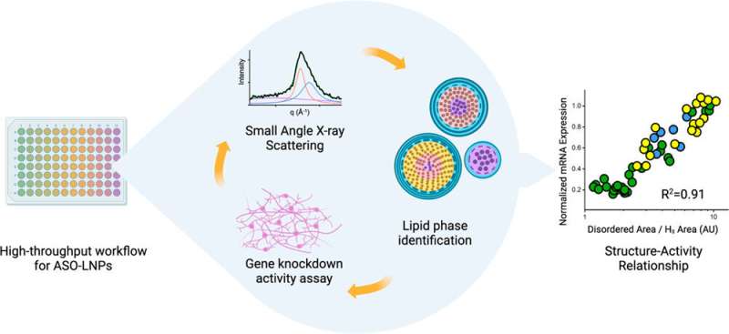 Breaking barriers in drug delivery with better lipid nanoparticles