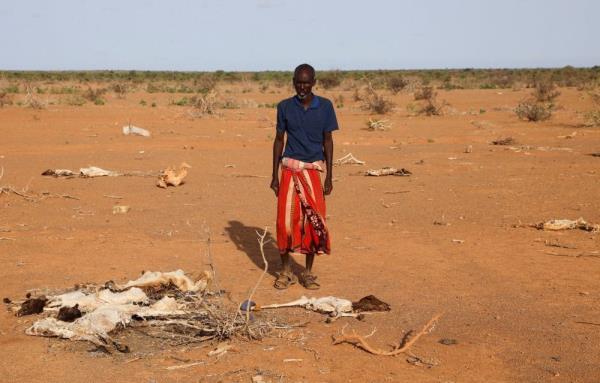 Africa endures more severe warming than elsewhere, posing risk of conflict