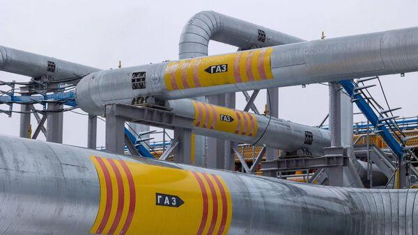 Wholesale gas prices plummet 7% despite Red Sea conflict