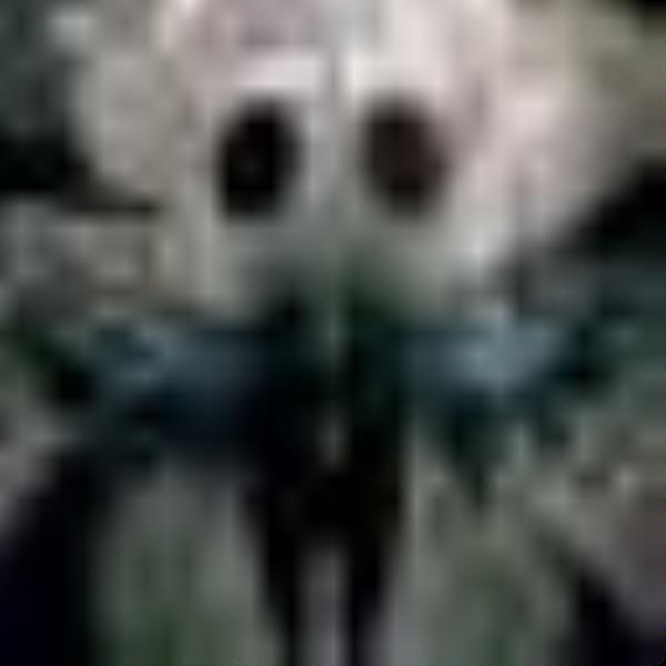 Hollow Knight