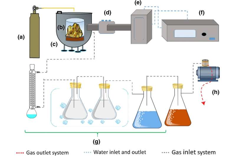 利用菠萝皮废物构建高性能电化学传感器