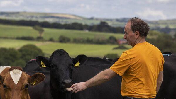 Timoleague farmer wins Carbery Milk Quality and Sustainability Awards 