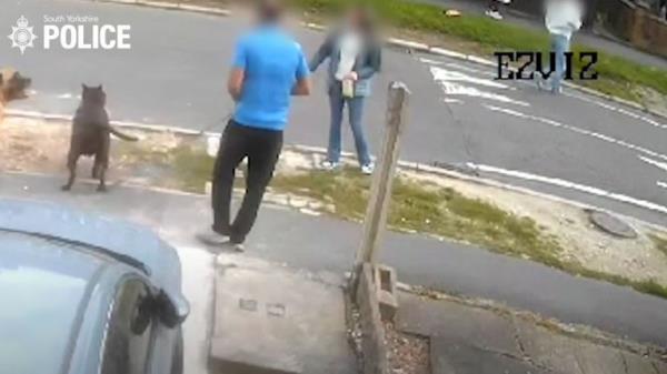 The man is seen with the Cane Corso on a lead. Pic: South Yorkshire Police