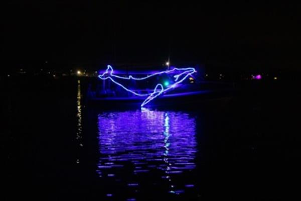 03 - Hydro (Humpback Whale)