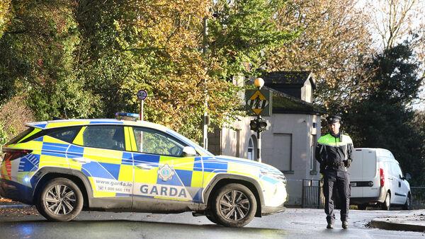 Man killed in Limerick minibus crash named locally