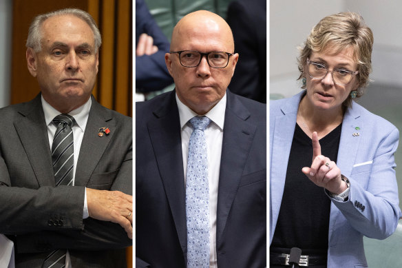 Special Minister of State Don Farrell, Opposition Leader Peter Dutton and independent MP Zali Steggall.