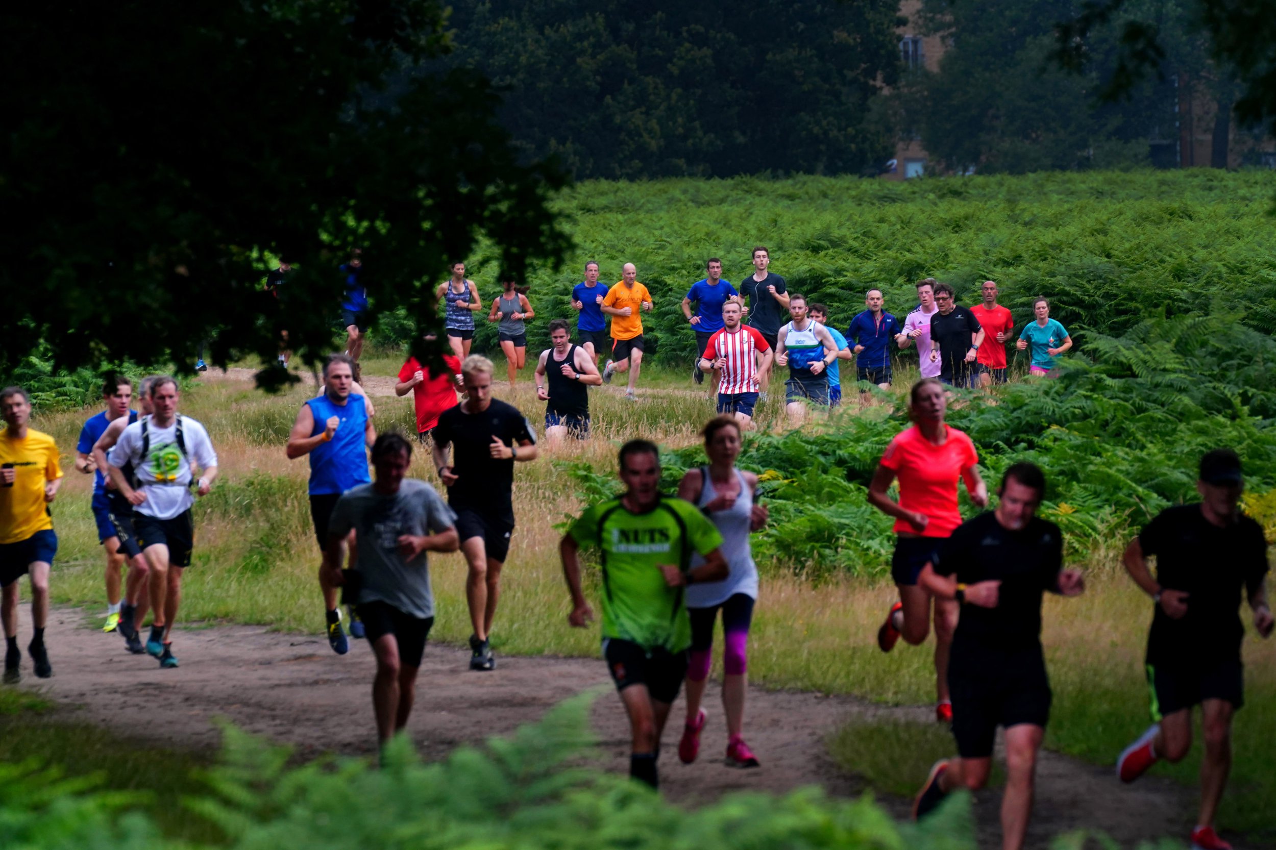 Runners taking part in the Parkrun at Bushy Park in London